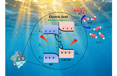 Efficient charge separation of RF/CdTMT S-scheme photocatalyst with enhanced photocatalytic H2O2 production 2026.100887